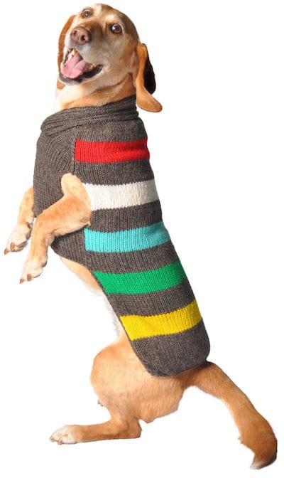 Charcoal dog sweater gray white red