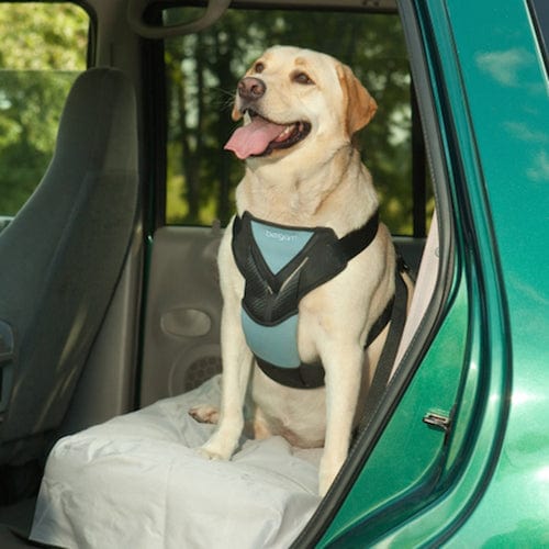 dog vehicle harness  -padded