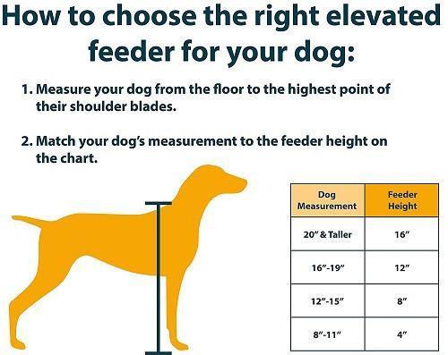 Feeder Height Guide