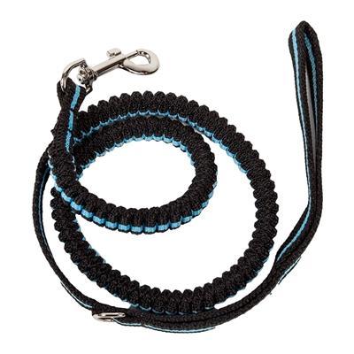 shock absorbing dog lead