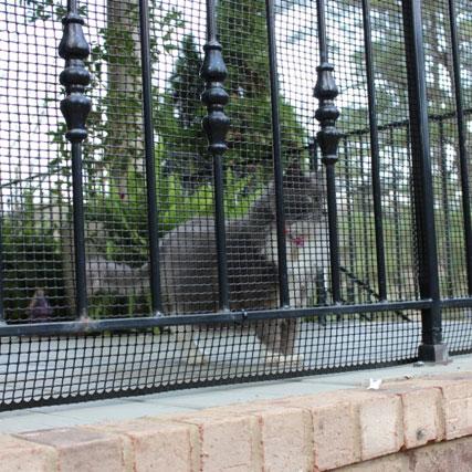 pet barrier net for use outside