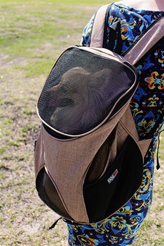 beige pet carrier backpack