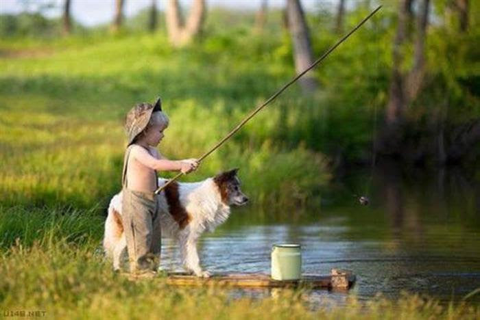 Activities to Celebrate National Dog Day August 26th