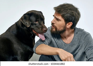 If Dog's Could Talk, What would they say?
