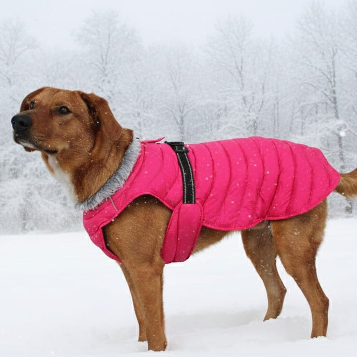 Puffer warm coat for up north