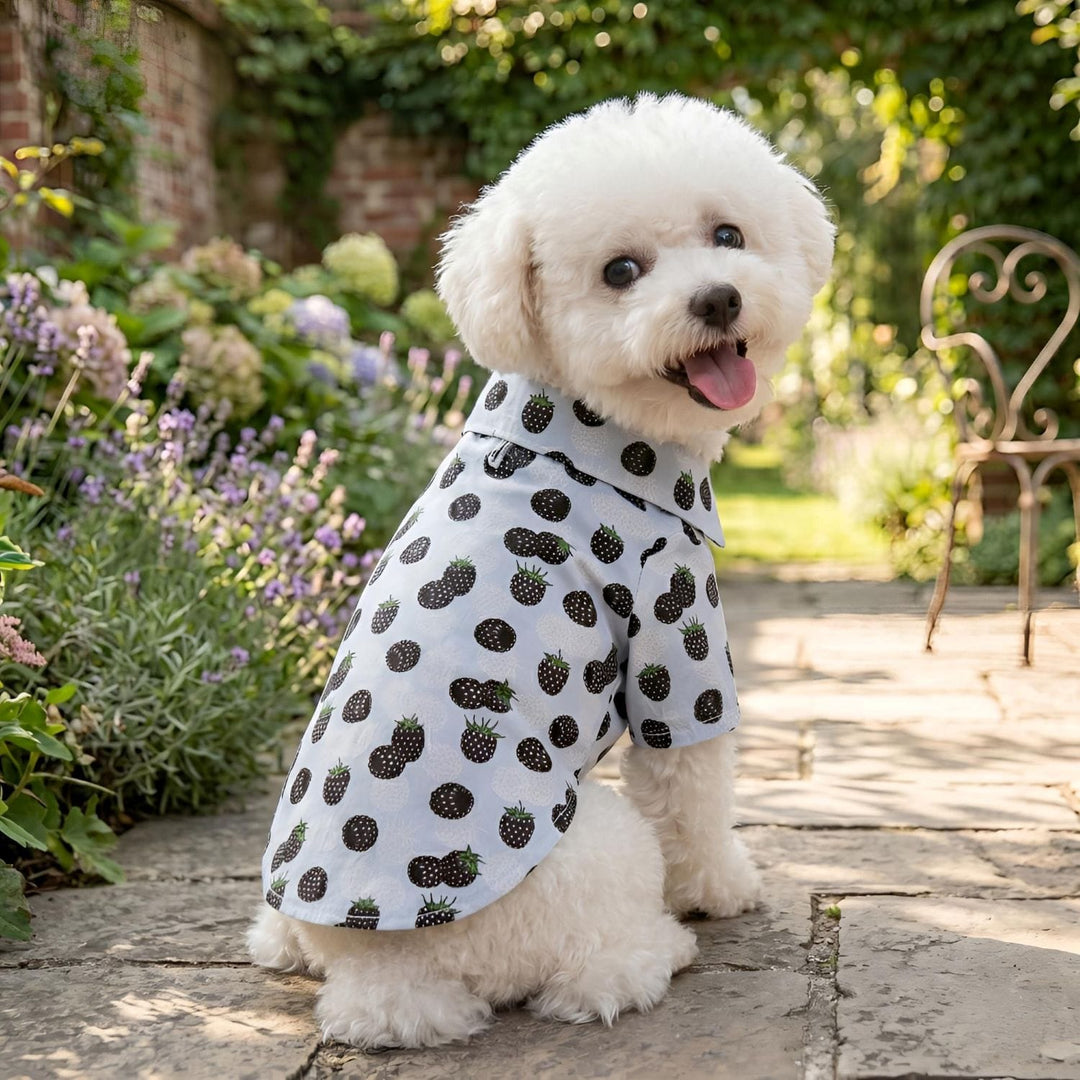 short-sleeve white shirt with a black berry print,