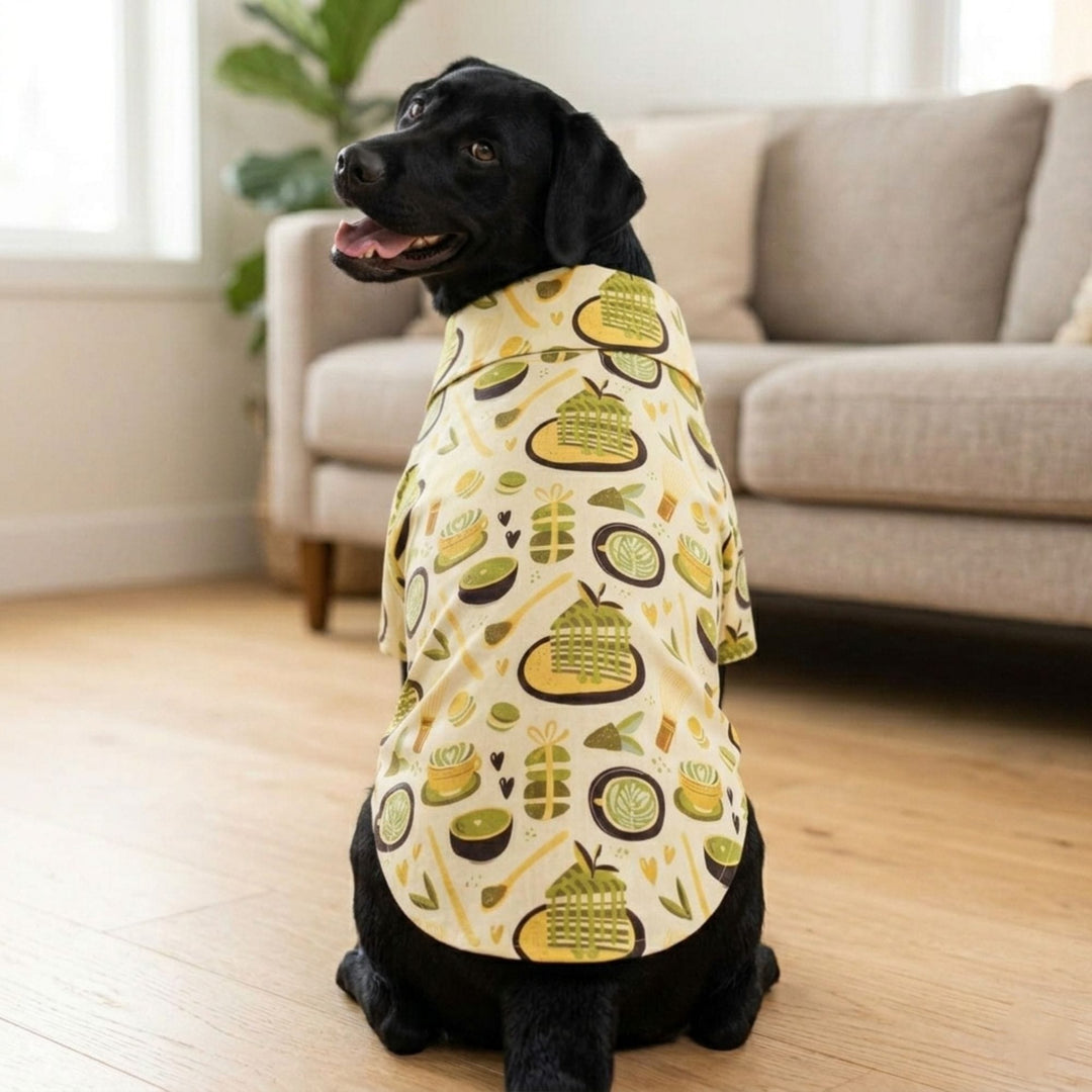  short-sleeve cream-colored pet shirt with a green and yellow food-themed pattern.