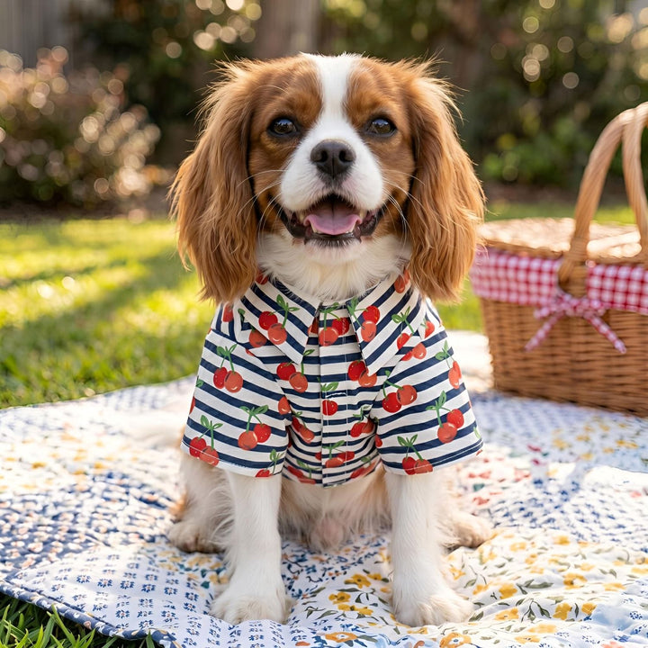 Cotton Summer Shirt For Dogs- Cherrys
