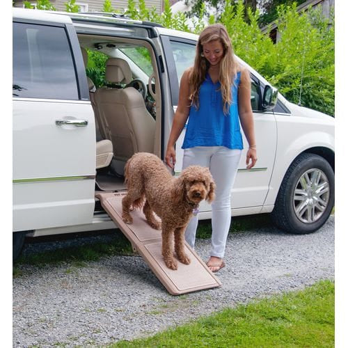 Short Portable Pet Ramp