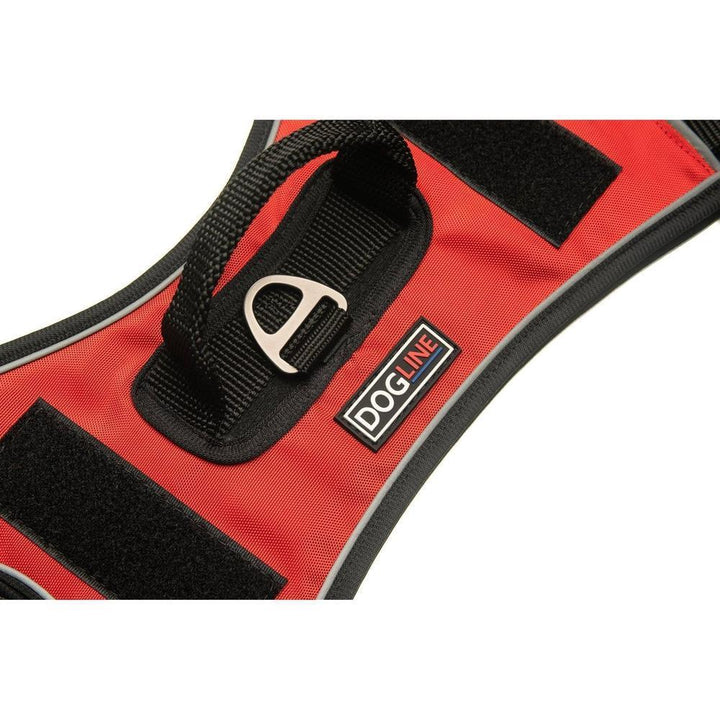 dog harness details