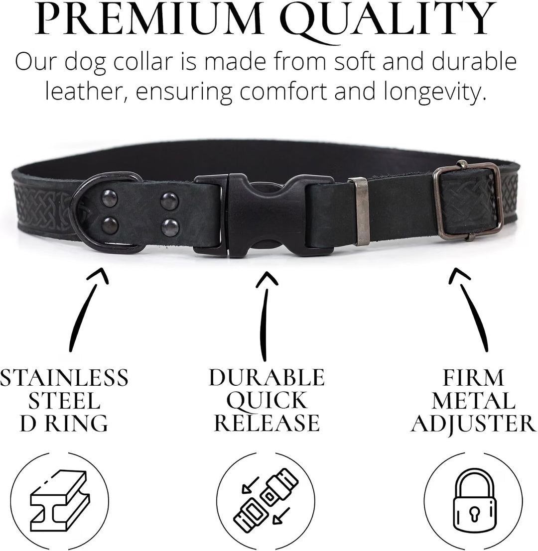 Black Night Leather Collar w Alloy steel buckle