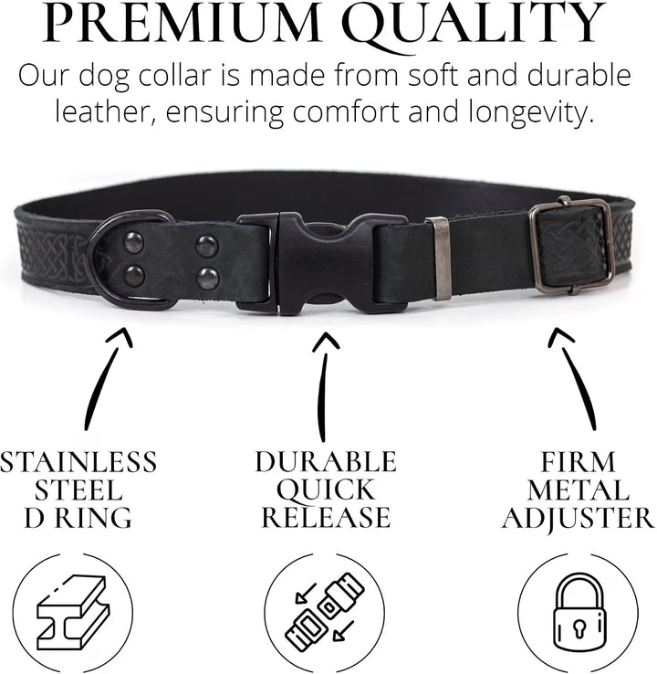 Black Night Leather Collar w Alloy steel buckle