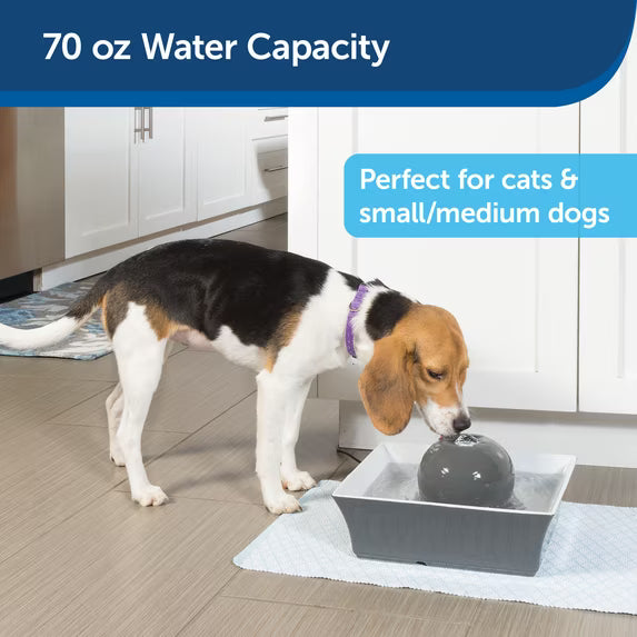 pet water fountain -small dogs