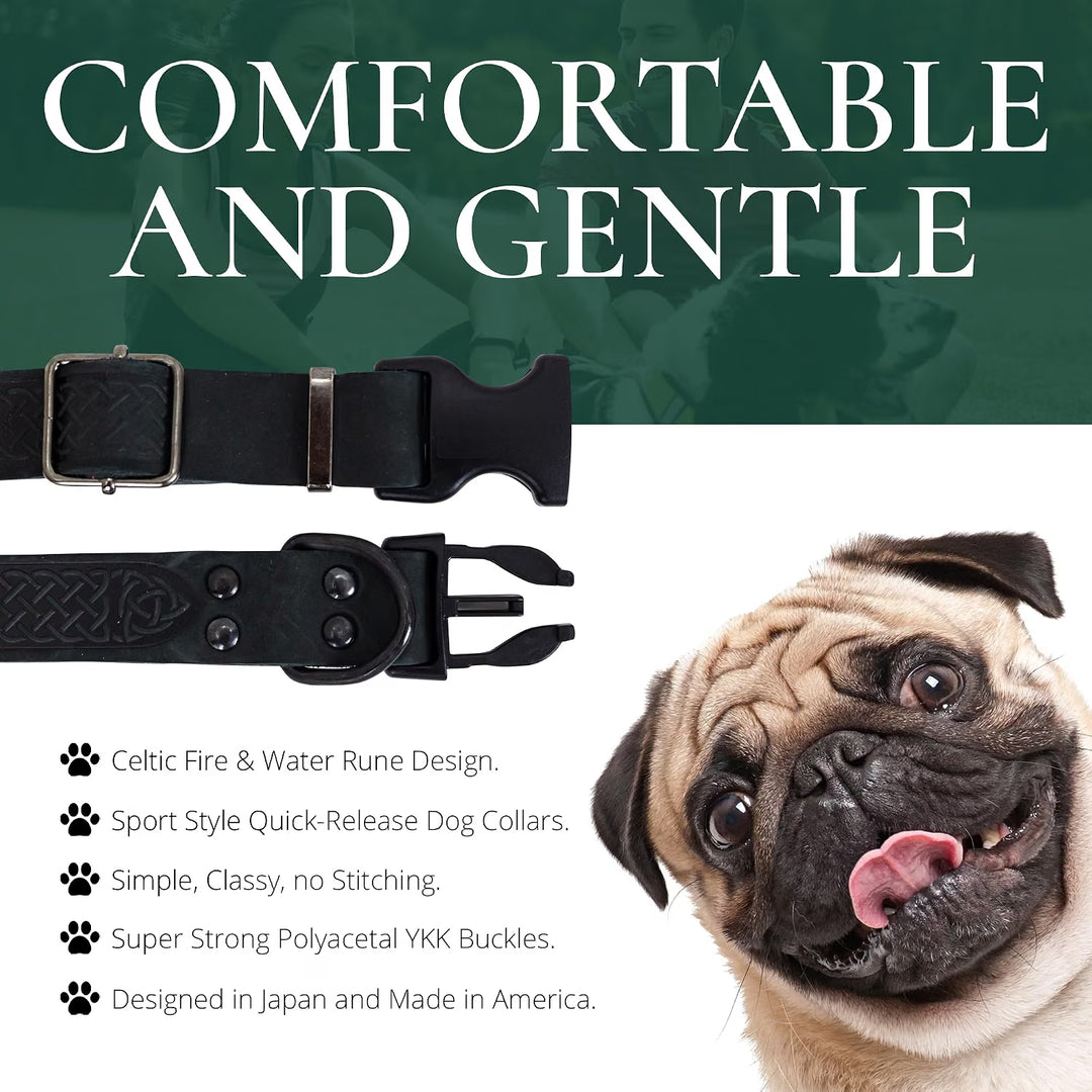 Black Night Leather Collar w Alloy steel buckle