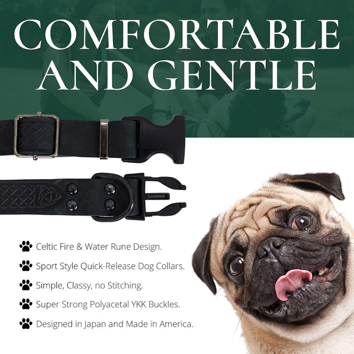 Black Night Leather Collar w Alloy steel buckle
