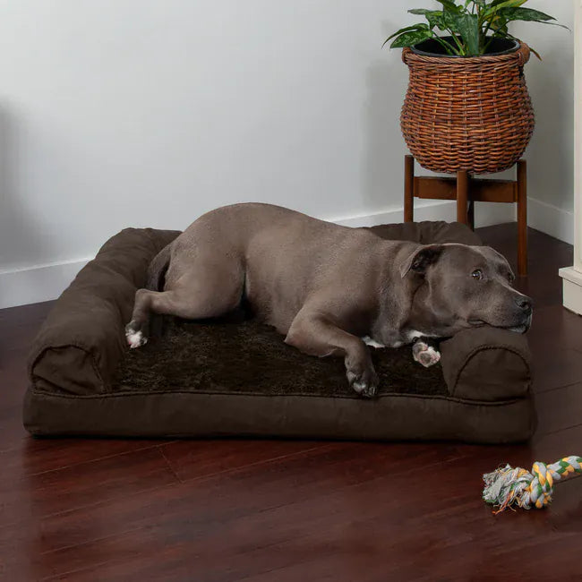 espresso large pet bed