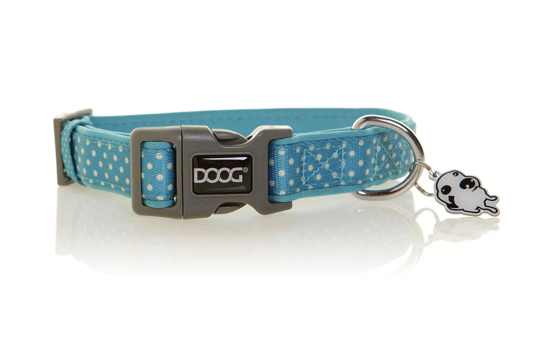 light blue neoprene dog collar