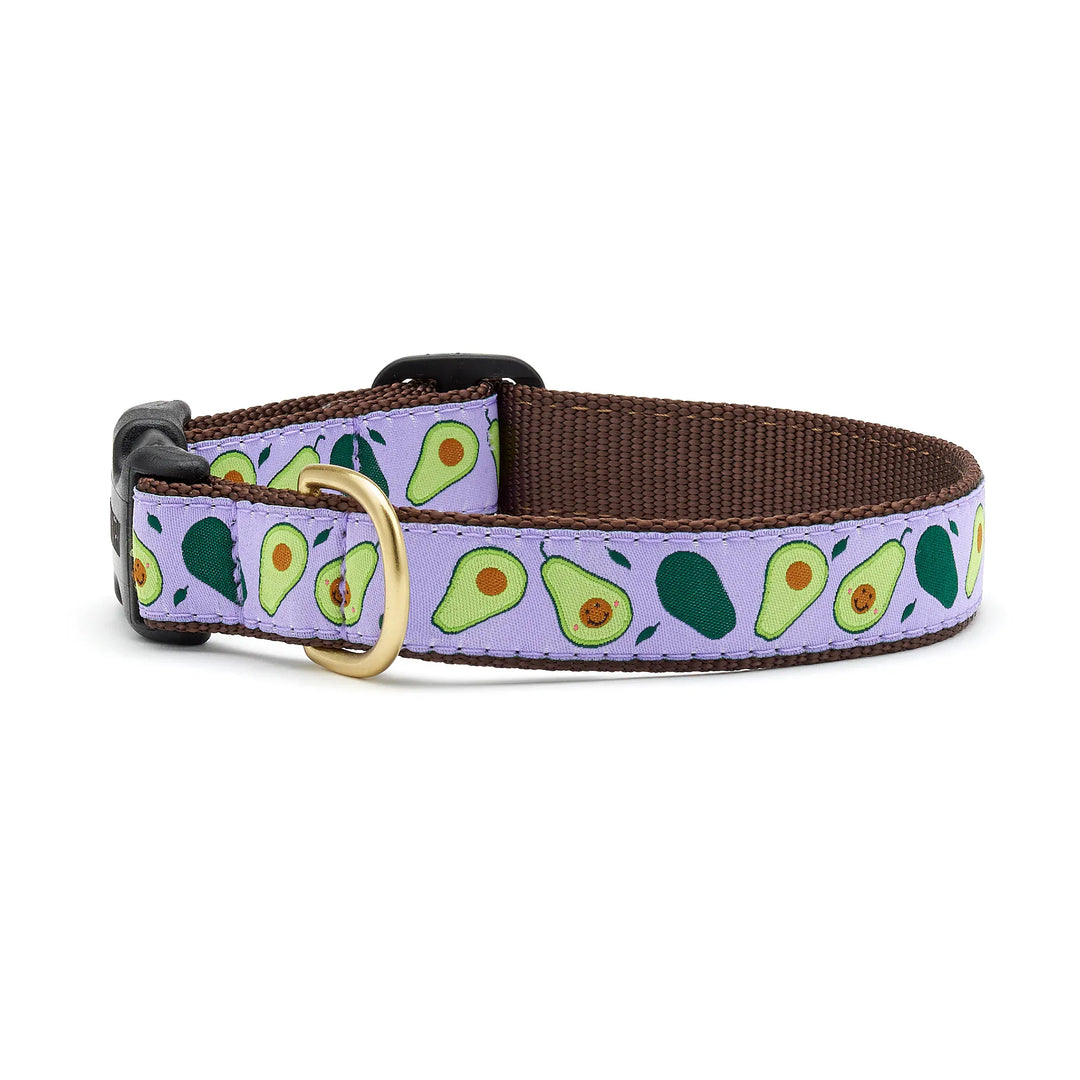 Avacado Dog Collar 1 in. wide 