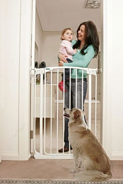 white metal dog gate bindaboo