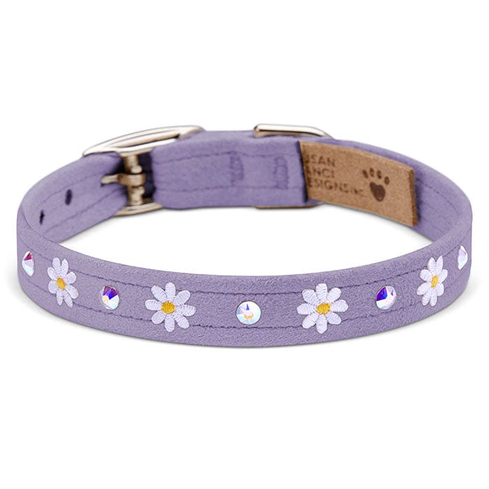Daisy Daze Fashion Dog Collar