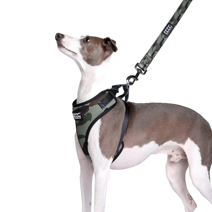 Canine-Camo Neoprene Collar - Collection