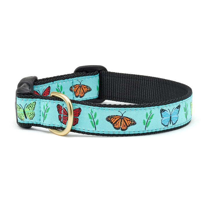 Dog collar with butterfly pattern on a light blue background