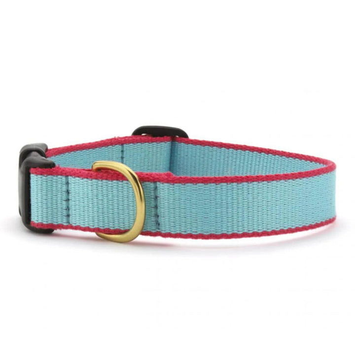 aqua market dog collar w coral trim