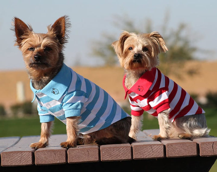 Striped Polo Shirt For Dogs