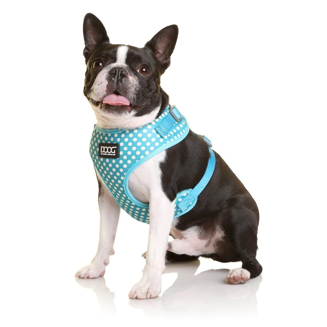 neopene dog harness -light blue