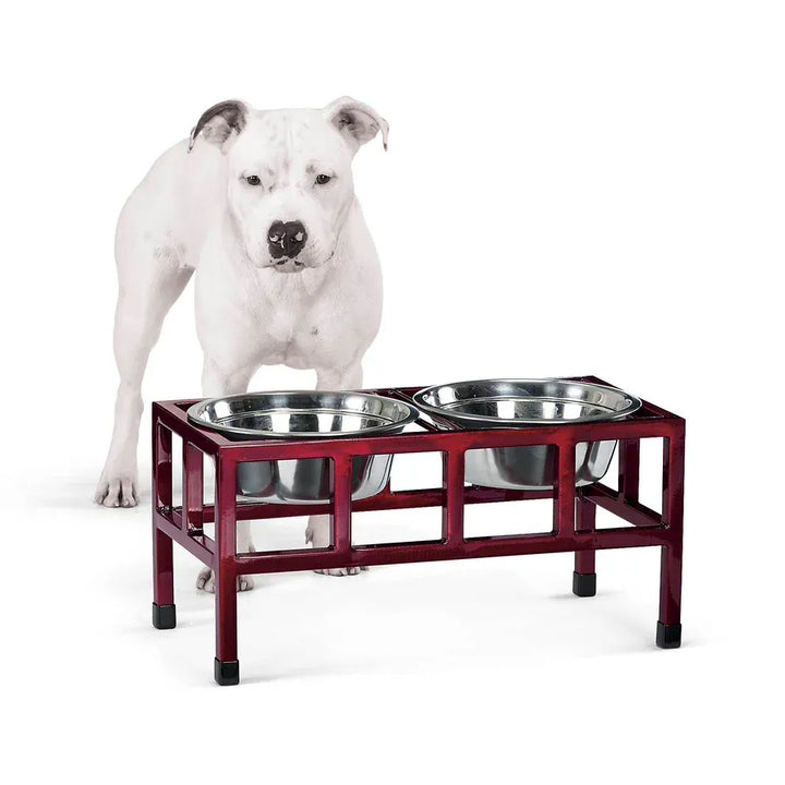 elevated dog feeding station _red Large