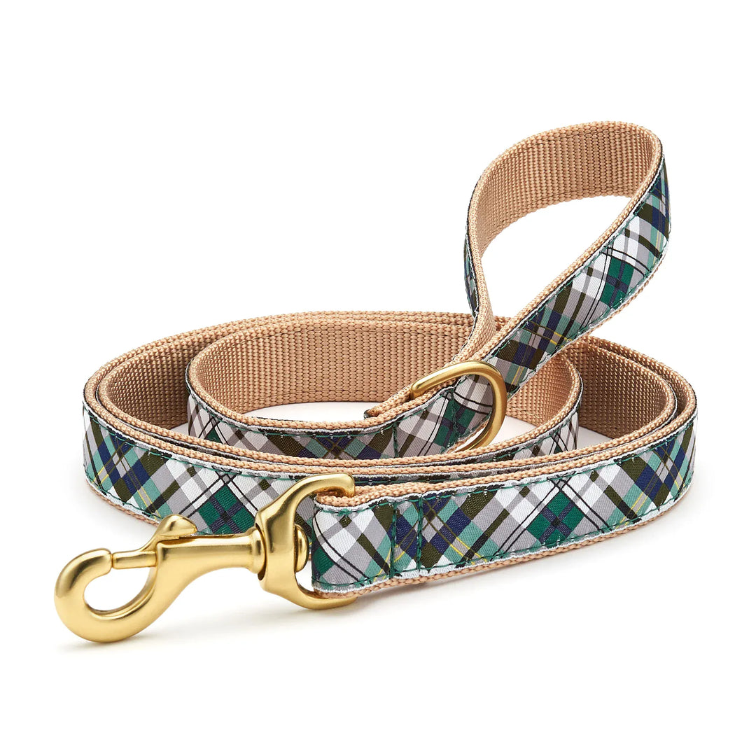 matching plaid dog lead
