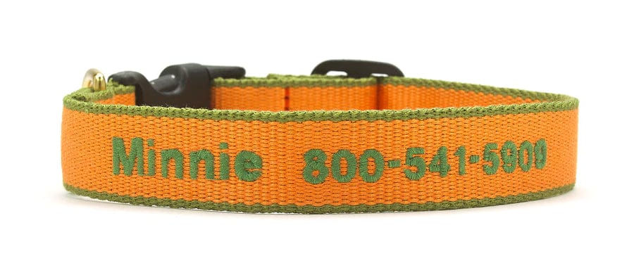 Tangarine dog collar with custom embroidery