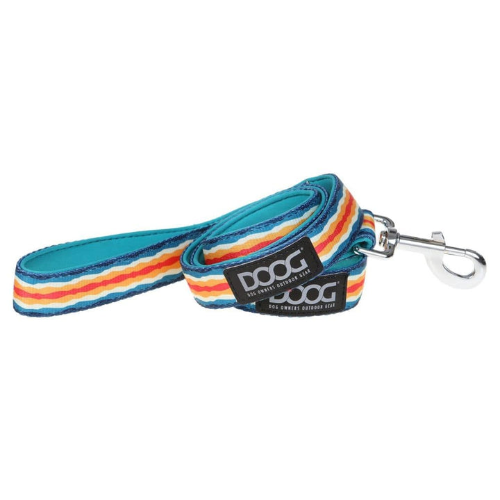 Scout Neoprene Collar - Collection