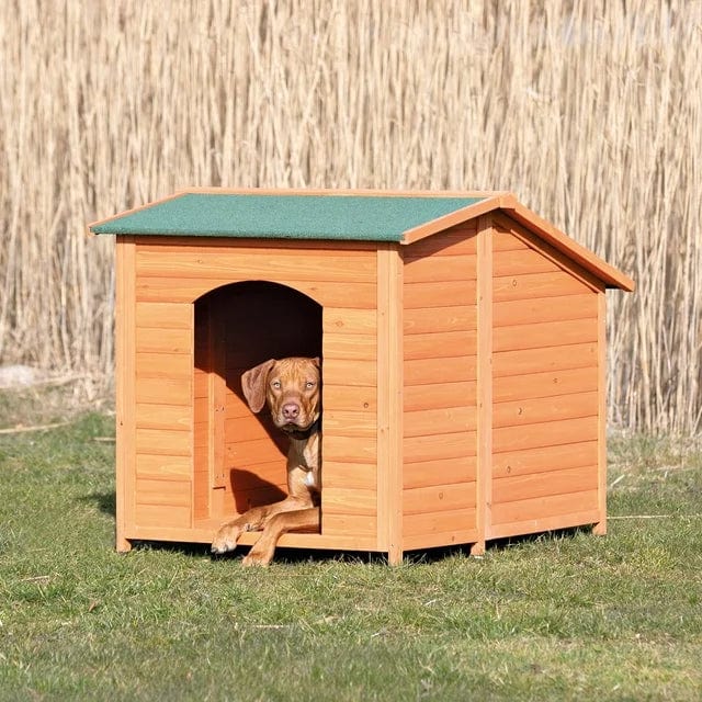Extra Large Dog House