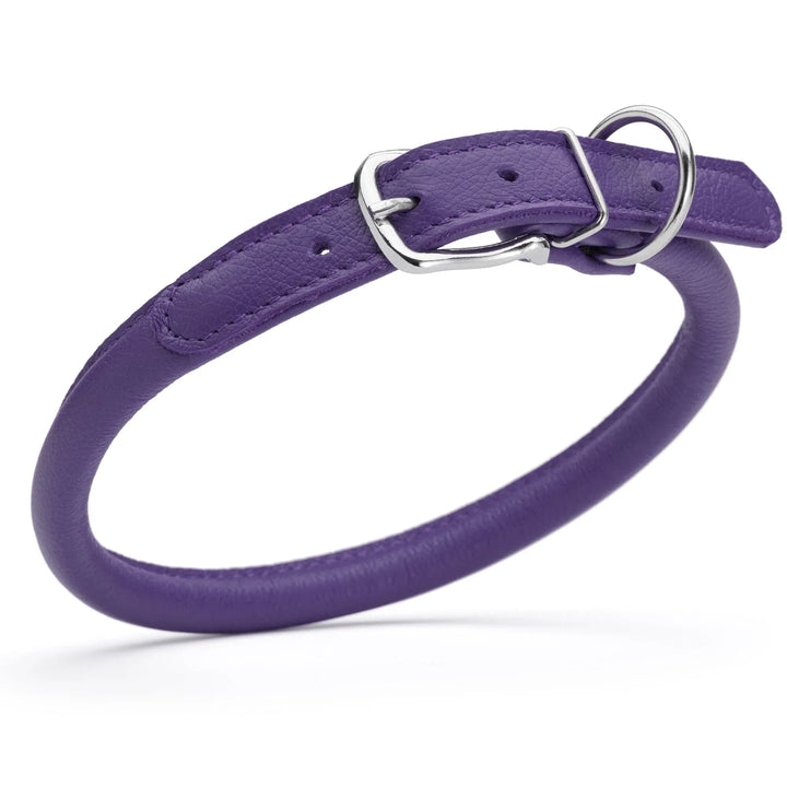Purple leather dog collar with a silver buckle on a white background