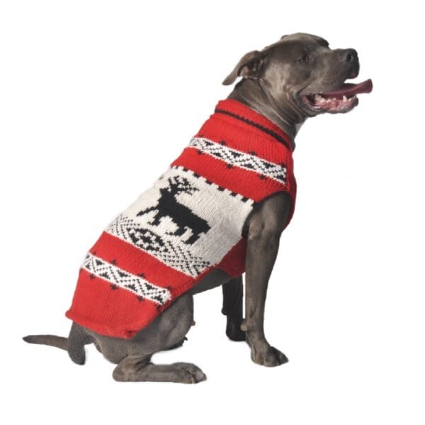 Chilly Dog Red Reindeer Shawl Dog Sweater, Small