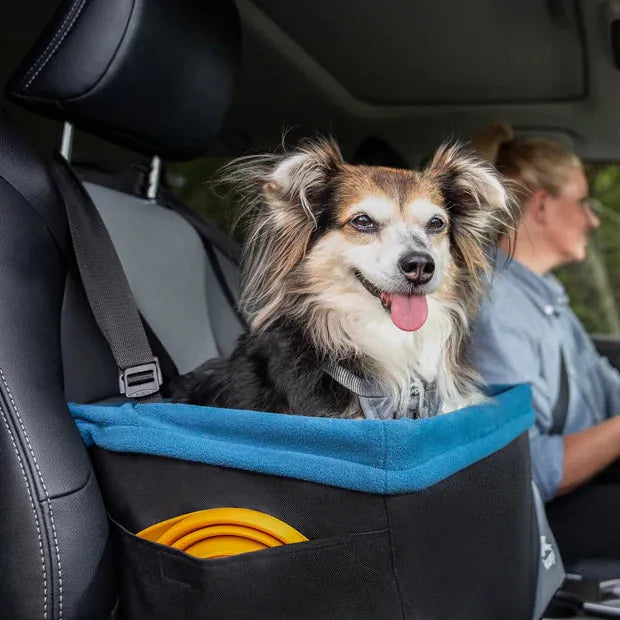 dog inder 30 pounds sitting in kurgo dog booster car seat blue trim interior wiyj black exterior
