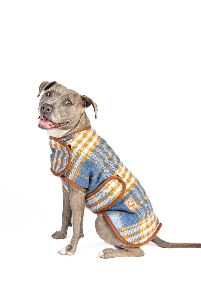 Western Dog Wrap Sweater