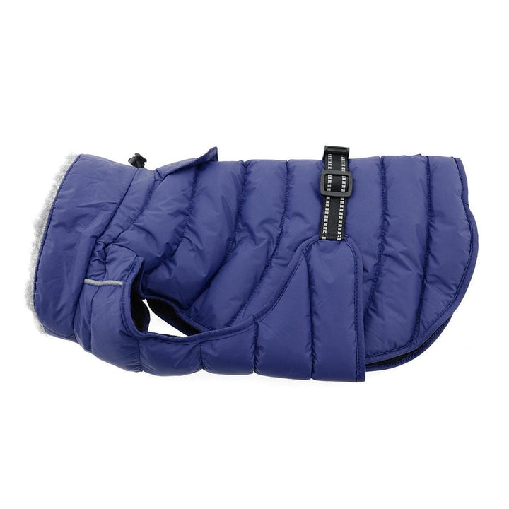 pull over dog coat -blue