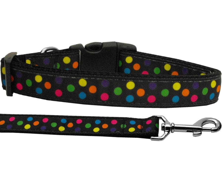 Nylon collar and leash combo. Black with color circles
