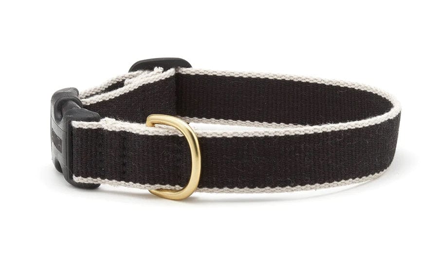 black solid black dog collar with gray accent trim and brass hardware