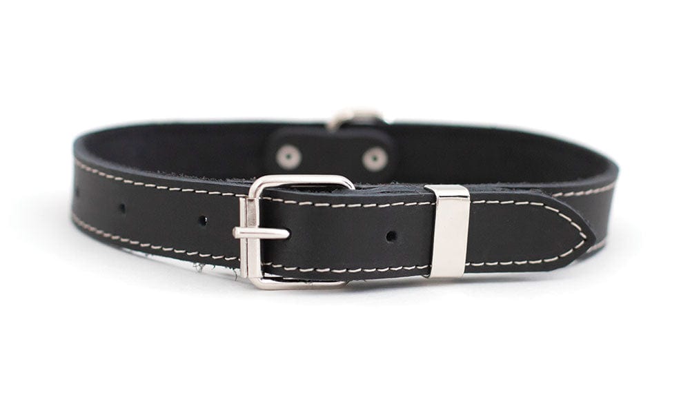 black leather buckle dog collar