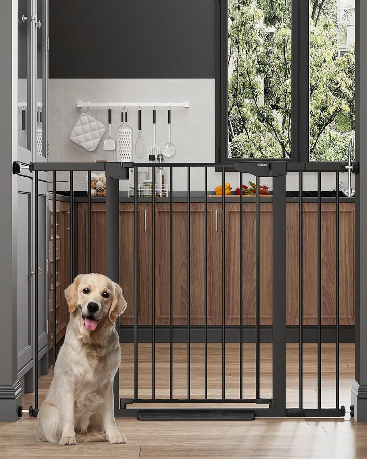 black ressure mountable dog gate