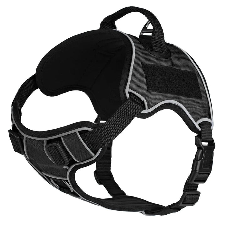 black dog harness no pull
