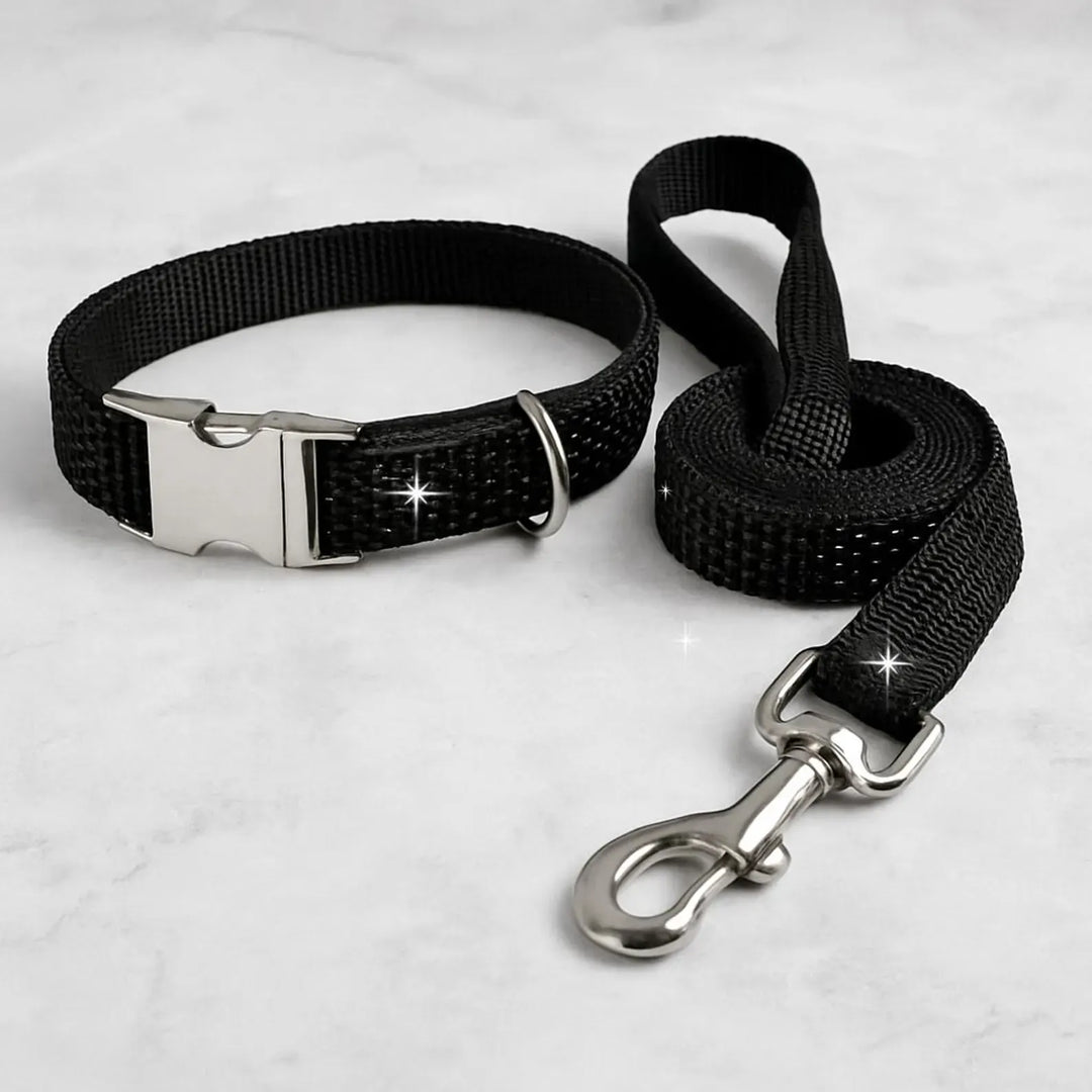 black rhinestone collar and leash