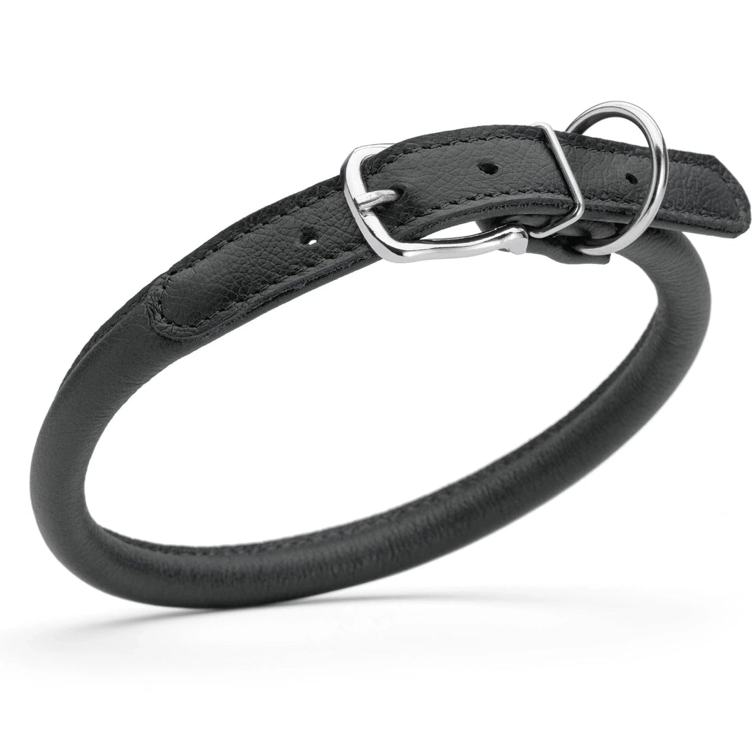 black rounded leather dog collar with no stretch design