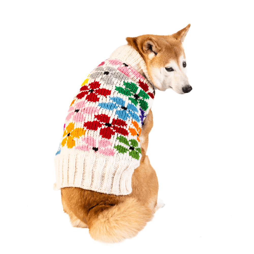 white dog sweater with flowers