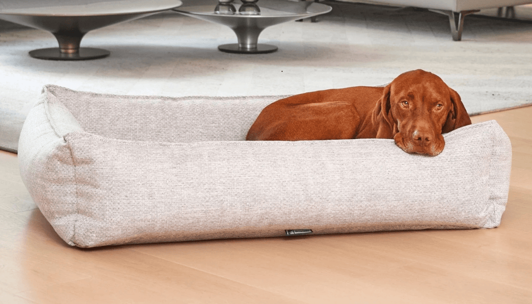bolster dog bed -bowsers