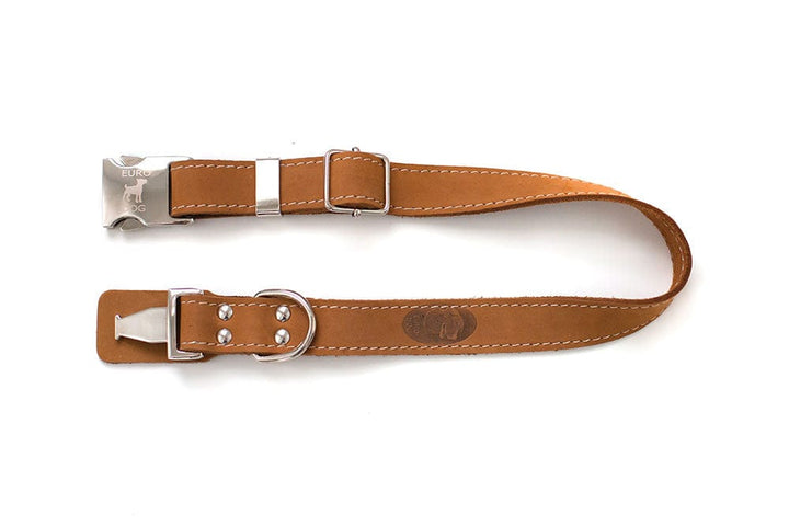 brown dog collar w metal clasp