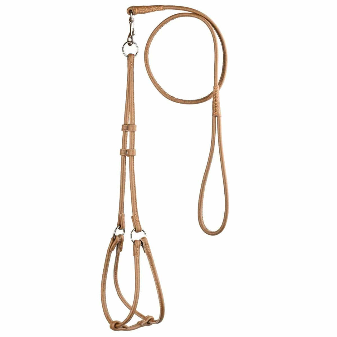 brown combo leash and harness set